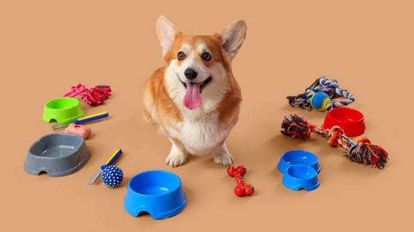 Pets Supplies